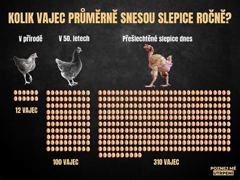 Ilustrácia rôznych spôsobov pôrodu: kladenie vajec, živé mláďatá