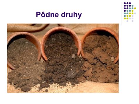 Schéma: Rozdelenie hnojív na organické, minerálne a pôdne kondicionéry pre rôzne typy rastlín