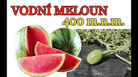 fotografia: rôzne obaly semien s informáciami o pestovaní