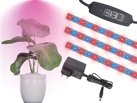 ilustrácia: LED lampa na pestovanie rastlín nad sadenicami