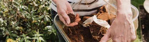 fotografia: ingrediencie na domáce hnojivo - banánové šupky, kávová usadenina, epsomská soľ