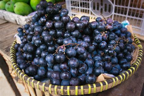 laminátová kaďa plná hrozna alebo kvasu pri vinobraní