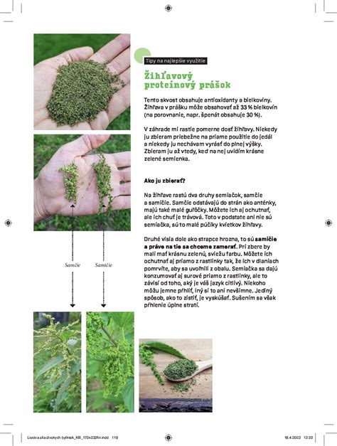 Infografika: Bezpečné dávkovanie byliniek a spôsoby ich úpravy (odvary, sušené listy, prášok)