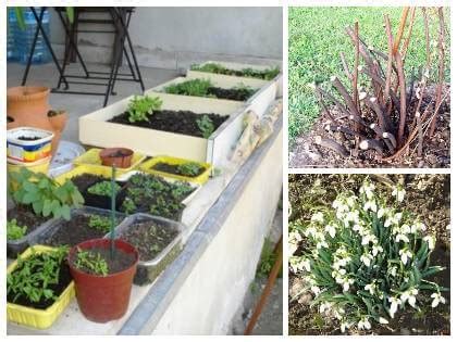 záhrada vo februári s prvými jarnými prácami