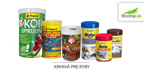 koláž rôznych druhov krmiva pre akváriové ryby - živé, mrazené a sušené