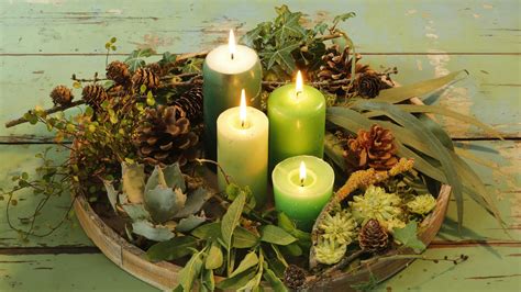 Koláž rôznych druhov zelene vhodných na adventný veniec, ako sú jedľa, tuja, borovica, eukalyptus.