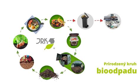 Schéma kolobehu živín v záhrade: od zberu bioodpadu po aplikáciu zrelého kompostu do pôdy.