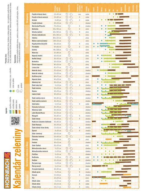 Kalendár sadenia priesad s vyznačenými mesiacmi pre rôzne druhy zeleniny