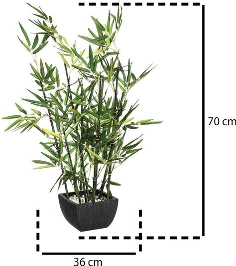 Dekoratívny bambus v štýlovom kvetináči na terase