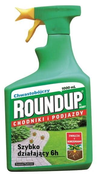 Detailný záber na aplikáciu herbicídu Roundup na listovú plochu buriny s naznačením systémového prenikania do koreňov (infografika)