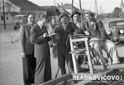 fotografia mulčovanej záhonovej plochy