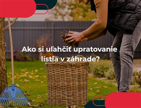 jesenné upratovanie záhrady - odstránenie lístia a odumretých rastlín