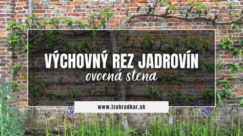 Široký rozostup je dôležitý pre rast kostihoja