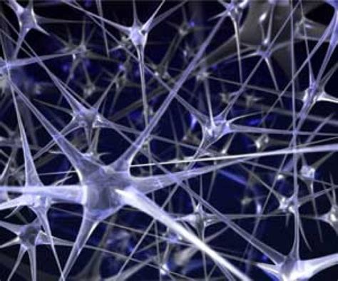 vizualizácia neurónovej siete a synapsií v mozgu