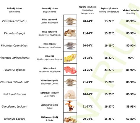Infografika zobrazujúca optimálne teploty a vlhkosť pre pestovanie rôznych druhov húb