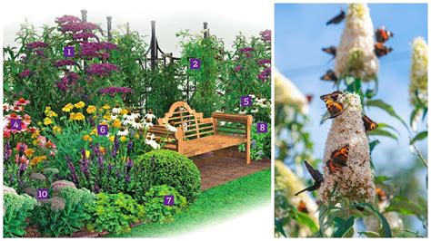 bohatý letný záhon plný rôznych druhov trvaliek