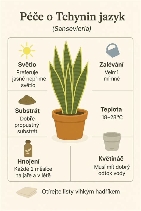 Infografika: Podmienky pestovania lopatkovca (svetlo, zálievka, teplota, vlhkosť, substrát)