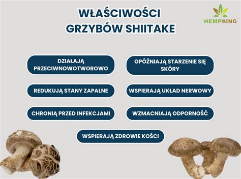 Infografika porovnávajúca šampiňóny, shiitake a hlivu ustricovú