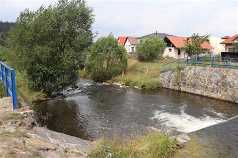Fotografia lužného lesa pri sútoku Biely Váh a Čierny Váh
