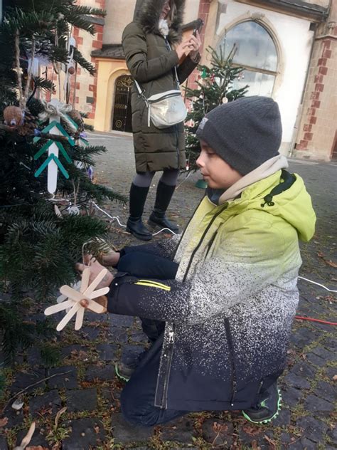 Schéma postupnej aklimatizácie vianočného stromčeka z exteriéru do interiéru.