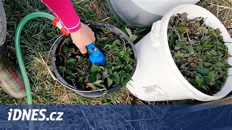 schéma prípravy hnojiva z droždia