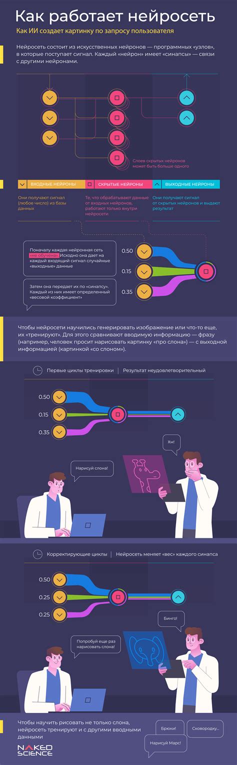Infografika správneho výsevu a hĺbky uloženia semien