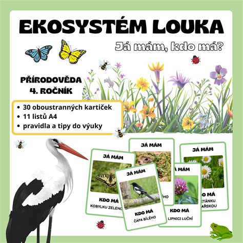 Infografika: Dopady zberu lesných plodov na ekosystém