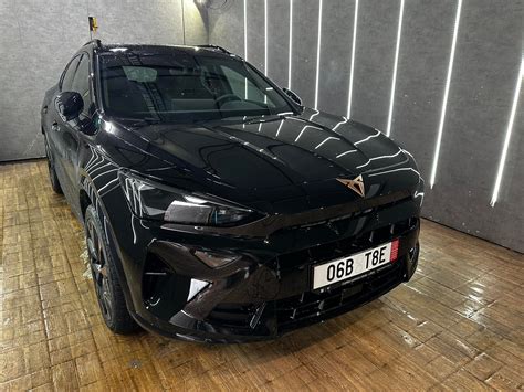 Ružové odrezky zakryté fóliou alebo skleneným pohárom pre udržanie vlhkosti