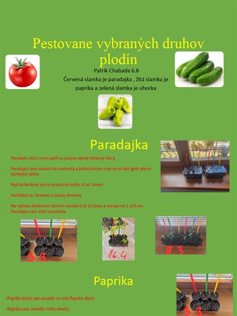 Infografika: Schéma striedania plodín v záhrade s príkladmi vhodných a nevhodných predplodín a následných plodín.