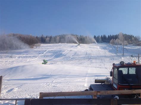 Porovnanie šikmého a rovného rezu pri príprave odrezkov a odstraňovanie spodných listov.