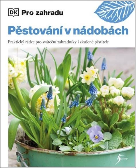 fotografia tují pestovaných v nádobách