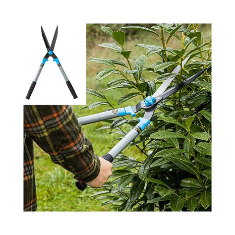 Tematické foto: Teleskopické nožnice strihajú vysoký živý plot, záhradník stojí na zemi