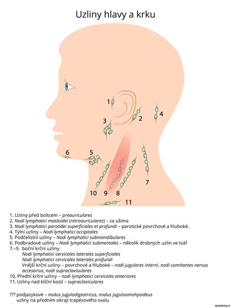 zdurené lymfatické uzliny na krku