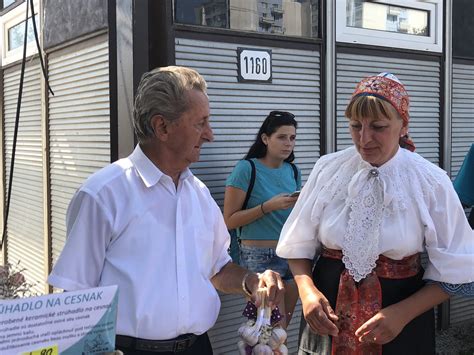 schéma ideálnych teplôt pôdy pre jesennú výsadbu cesnaku