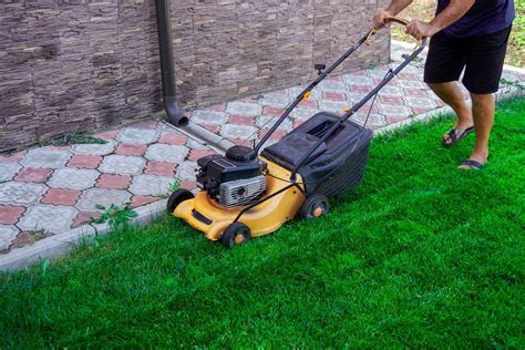 Schéma znázorňujúca pravidlo jednej tretiny pri kosení trávnika