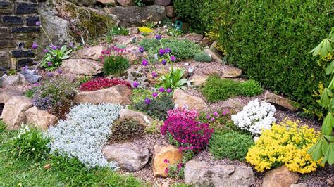 Detailné znázornenie výsadby skalničky do priepustnej pôdy s dekoratívnym štrkom