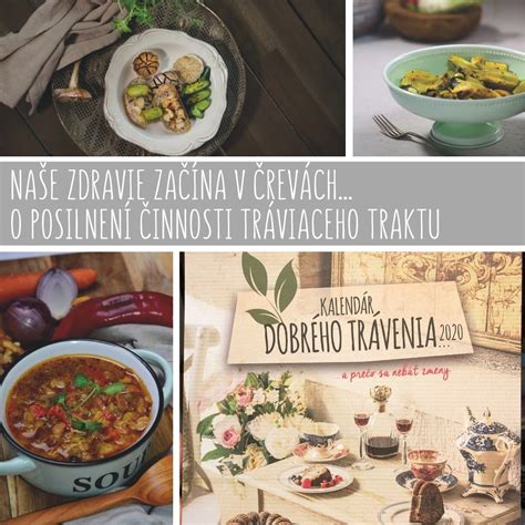 Schéma tráviaceho traktu mačky s vysvetlením, ako vláknina pomáha pri vylučovaní trichobezoárov