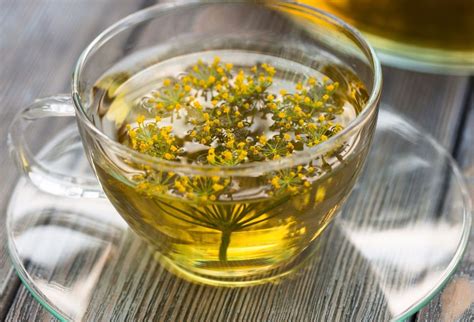 fotografia: kôprový čaj so sušenými semienkami kôpru