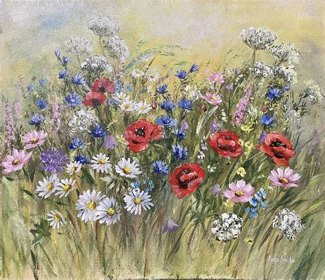 Tematické foto divozelu veľkokvetého na lúke