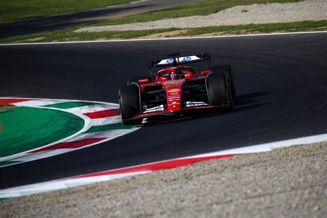 ilustrácia rozdielov medzi F1 a OP semenami, možno s ukážkou kríženia