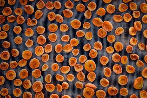 Zbieranie a sušenie semien skalničiek