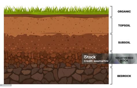 infografika znázorňujúca vrstvy pôdy a výber správneho substrátu pre rôzne účely (trávnik, výsadba, zásyp)