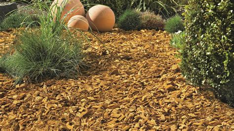 Schéma: Správne mulčovanie mladého ihličnanu