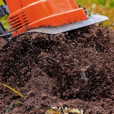 Detailné foto uvoľňovania pôdy motykou medzi jahodovými rastlinami
