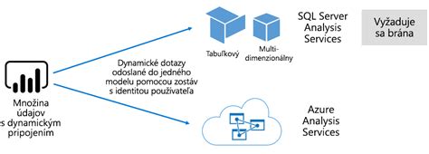 Prehľadný diagram s rôznymi odrodami mandlí a ich charakteristikami