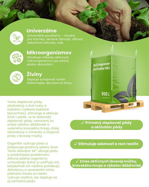 Detailný pohľad na drenážne otvory v kvetináči a zmes pôdy s kompostom