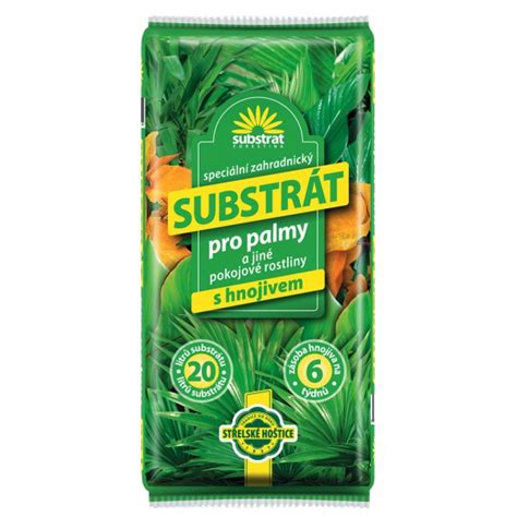 schéma správnej výsadbovej jamy s drenážou pre palmy