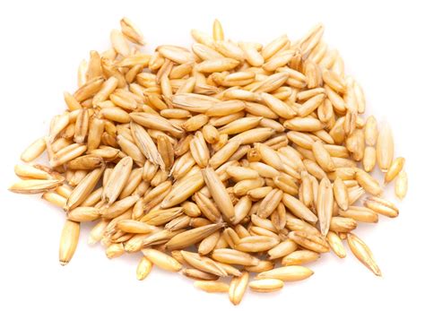 Tematické foto: Naklíčený nahý ovos