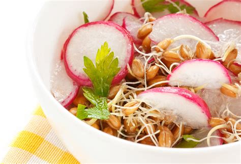 Tematické foto: Šalát s čerstvými klíčkami nahého ovsa