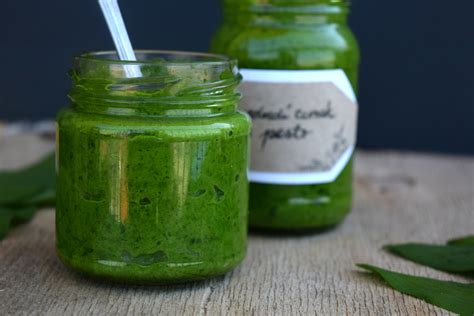 Detailný záber na listy medvedieho cesnaku v lese a hotové pesto v sklenenom pohári